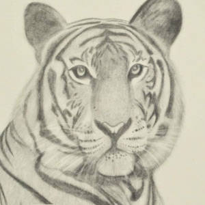 Squiggle A4 Sketch Pad